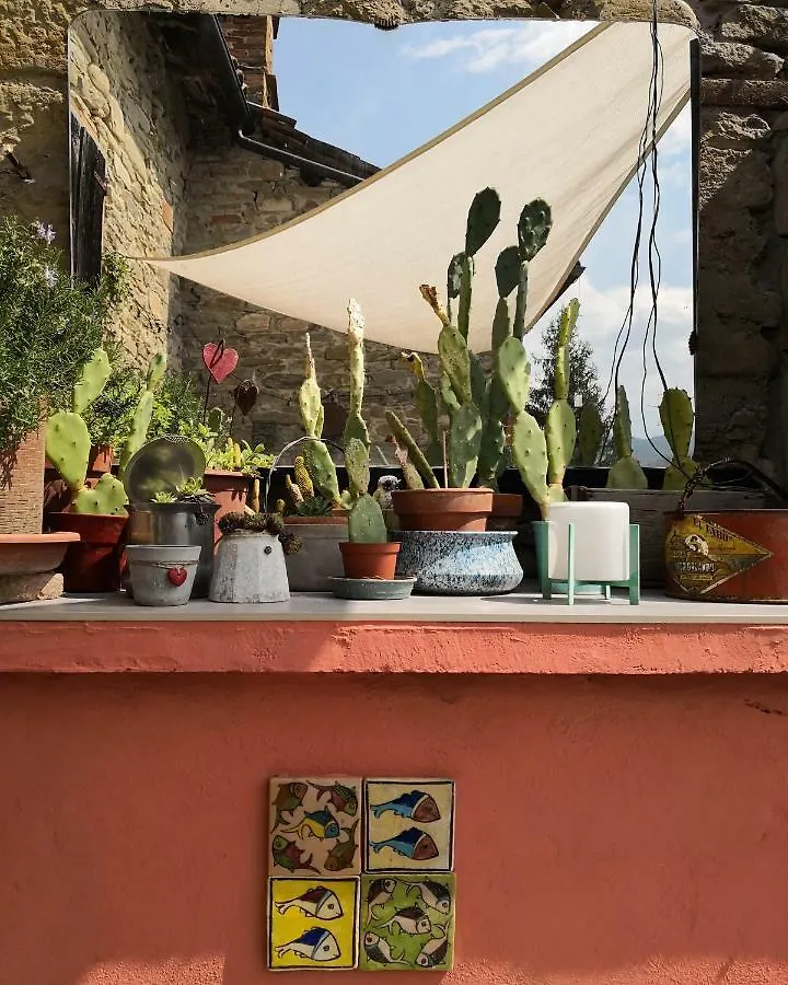 Il Vecchio Comune Santa Sofia Italien
